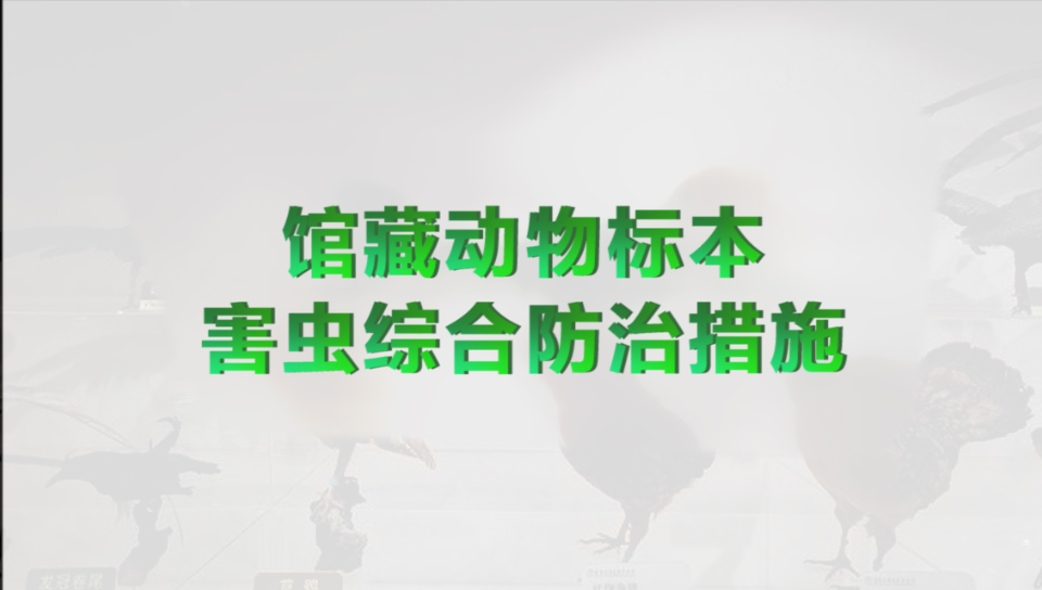 館藏動物標(biāo)本害蟲綜合防治措施
