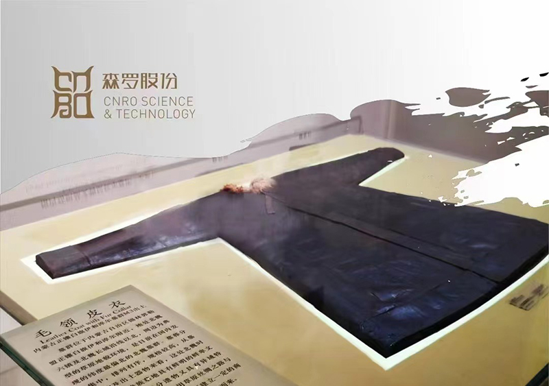 《森羅萬象》，包羅萬象第13問