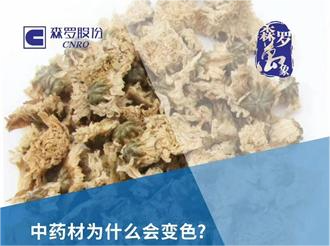 《森羅萬象》，萬象包羅 第2問