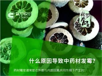 《森羅萬象》，萬象包羅 第4問